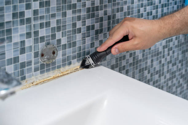 Best HVAC Mold Remediation in Astia, OR